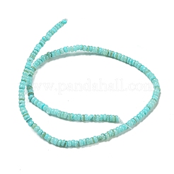 Tinti d'acqua dolce naturale perline shell fili&nbsp;BSHE-G039-07C