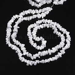 Synthetische howlite Chips Perlen Stränge&nbsp;F048