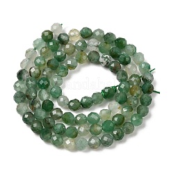 Natürliche afrikanische Jade Perlen Stränge&nbsp;G-K366-C03-4mm