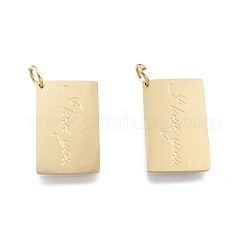 Pendentifs en acier inoxydable 304 avec placage ionique (IP)&nbsp;STAS-T060-17G