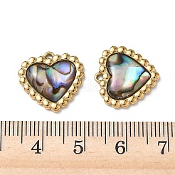 Natur Paua Muschel Anhänger&nbsp;STAS-G397-16G-02