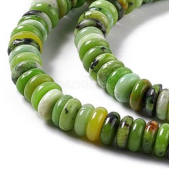 Natürliche Serpentin Jade Perlen Stränge&nbsp;G-F727-01