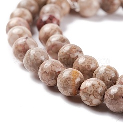 Chapelets de perles maifanite/maifan naturel pierre &nbsp;G-P451-01B-B