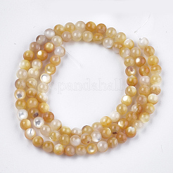 Perles de coquillage jaune brins&nbsp;SHEL-S274-93C