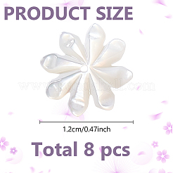 8 pz perle di conchiglia naturale&nbsp;FIND-GO0003-28