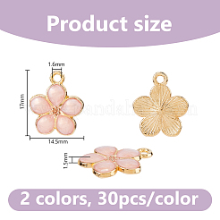 60 pièces 2 couleurs pendentifs en alliage plaqué or clair&nbsp;ENAM-DC0002-29