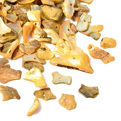 Perline di pepite di conchiglia di madreperla naturale tinta&nbsp;BSHE-O007-10C