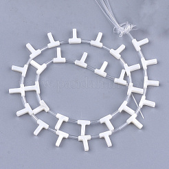 Perles de coquille d'eau douce&nbsp;X-SHEL-T012-59T