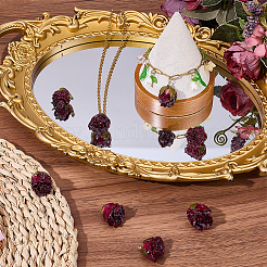 10 pièces pendentifs en plastique&nbsp;KY-SC0002-62