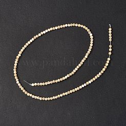 Fili di perle di conchiglia trochid naturale / trochus&nbsp;SSHEL-S266-023B-07