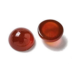 Cabochon corniola naturali&nbsp;G-Q173-01B-14