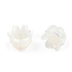 Cappucci di perline di conchiglia bianca naturale&nbsp;SSHEL-N032-58B