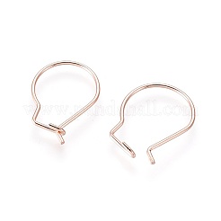 Orecchini a cerchio in acciaio inossidabile 304&nbsp;LS-STAS-H436-02RG