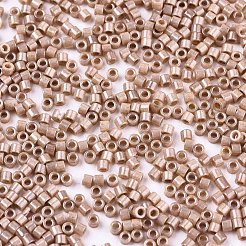 Perline di vetro per pittura da forno di grado A fgb 11/0&nbsp;SEED-S030-1029