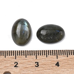 Natur Labradorit Cabochons&nbsp;G-F815-01B