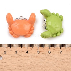 Pendentifs en résine opaque&nbsp;RESI-I355-03P-03