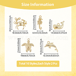 20 stücke 10 stil rack plattierung legierung charms&nbsp;FIND-FH0007-48