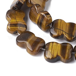 Fili di perline di occhio di tigre naturale&nbsp;G-K359-D07-01
