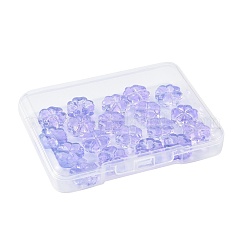 20pcs perles de verre transparentes peintes à la bombe&nbsp;GLAA-FS0002-40A