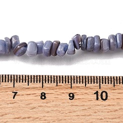 Perles de coquillages naturels d'eau douce&nbsp;SHEL-B003-01G