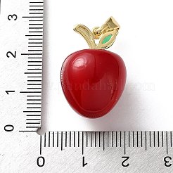 Pendentifs en résine&nbsp;KK-P320-10A-G