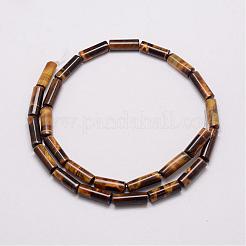 Natürliche und gefärbte Tigeraugenperlenstränge&nbsp;G-P230-32-4x13mm