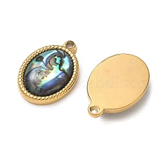 Natur Paua Muschel Anhänger&nbsp;STAS-G397-18G-02