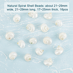 Naturspirale Muschelperlen&nbsp;SHEL-PH0001-42