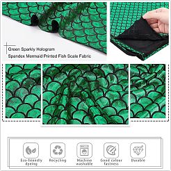 Funkelnder Spandex-Meerjungfrau-bedruckter Fischschuppenstoff mit Hologramm&nbsp;AJEW-WH0118-07B