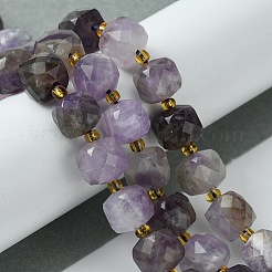 Natürlichen Amethyst Perlen Stränge&nbsp;G-Q010-A07-01