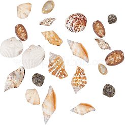 Gemischte natürliche Muschelperlen-Sets&nbsp;BSHE-PH0003-03