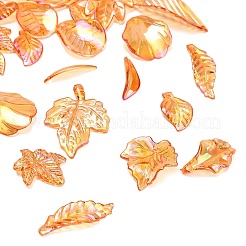 Transparenten Acryl-Anhänger&nbsp;AC-CBAE38D-02C