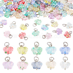 100pcs 10 transparente Acrylanhänger im Stil&nbsp;PALLOY-TAC0229