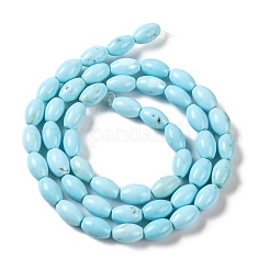 Fili di perline howlite naturale&nbsp;G-H025-02A