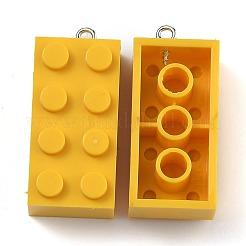Opake Acryl Anhänger&nbsp;MACR-B0001-02A