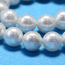 Colore ab placcato conchiglia perle fili di perline rotondo&nbsp;X-BSHE-L011-6mm-C001