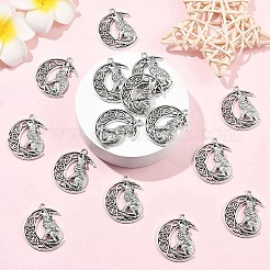 Colgantes de aleación de estilo tibetano 15pcs&nbsp;FIND-YW0011-12
