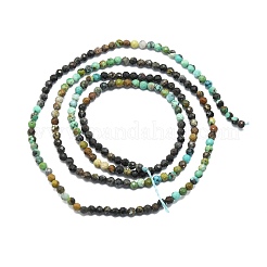 Perline Chrysocolla naturale fili&nbsp;G-P457-A03-21