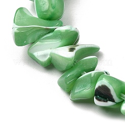 Chapelets de perles de coquille de trochid / trochus coquille&nbsp;SHEL-B003-02D