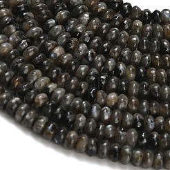 Natürliche Larvikit-Perlenstränge&nbsp;G-Z110-B19-2x4mm