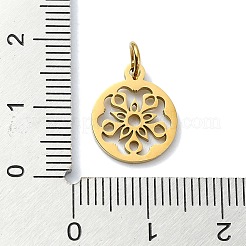 Anhänger aus 304 Edelstahl&nbsp;STAS-C097-46G-05