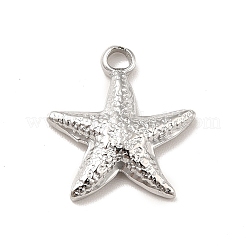 Pendentifs en acier inoxydable 304 anti-ternissement&nbsp;STAS-I197-012P