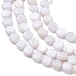 Colliers de perles en coquillage d'eau douce naturelle&nbsp;SH-CBACA76-17D