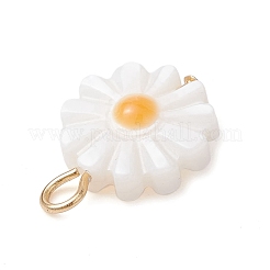 Natürliche Süßwassermuschel-Blumenanhänger mit vergoldeten Ösen aus 304er Edelstahl&nbsp;PALLOY-JF02444
