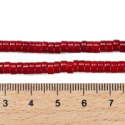 Kunsttürkisfarbenen Perlen Stränge&nbsp;G-C101-K01-01A
