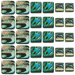 30 pz 3 stili perline di conchiglia paua naturale&nbsp;BSHE-TA0001-37