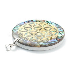 Natürliche Abalone Muschel / Paua Muschel Anhänger&nbsp;SSHEL-L019-02P
