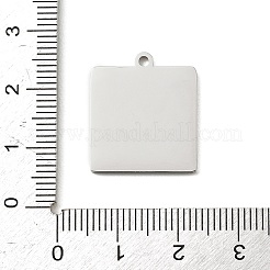 Pendentifs en acier inoxydable 304&nbsp;SA-E001-08P