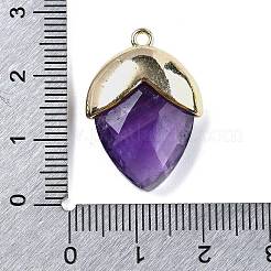 Pendentifs en améthyste naturelle&nbsp;G-U019-03B-04