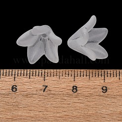 Coupelles en acrylique mat&nbsp;AC-CBA1E6C-04